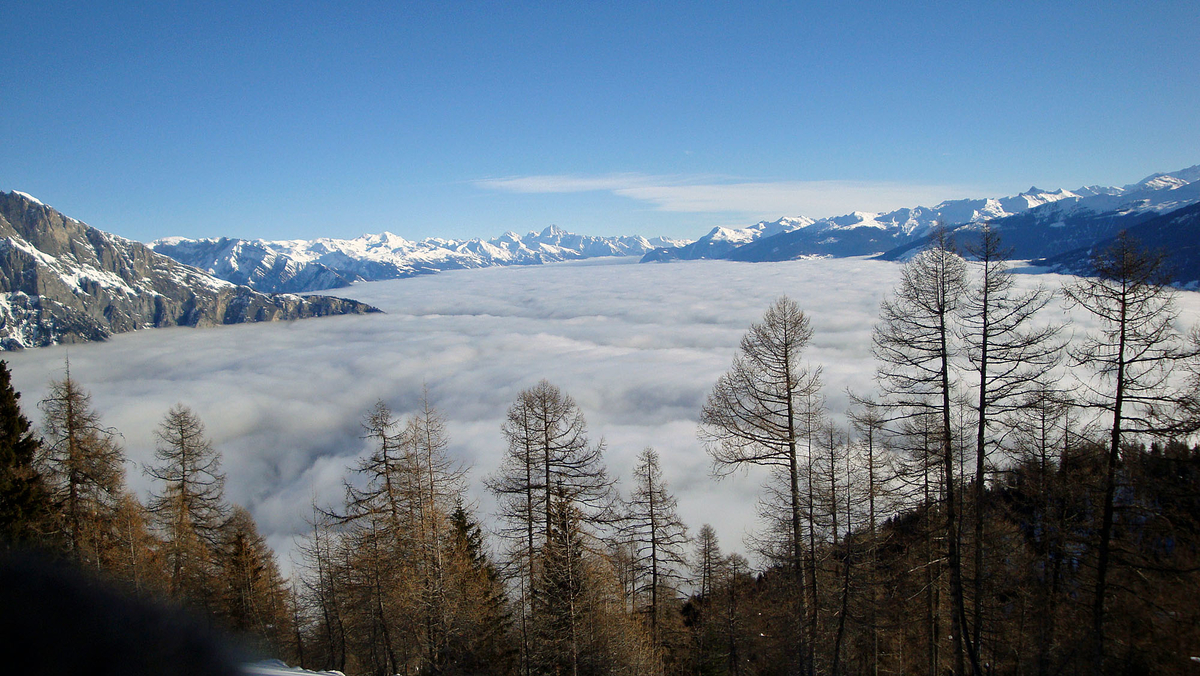 Avancer dans le brouillard